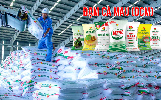Đạm Cà Mau (DCM ): Đẩy mạnh Cwin Đăng Ký + 1888k, chiếm 18% tổng lượng phân bón Cwin Đăng Ký + 1888k cả nước