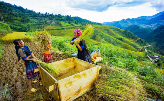 Lập Hội đồng thẩm định điều chỉnh Chương trình mục tiêu quốc gia vùng dân tộc thiểu số và miền núi
