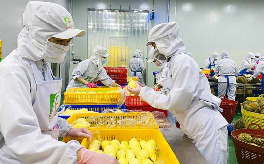 Sầu riêng đông lạnh chính thức được cấp phép Cwin Đăng Ký + 1888k sang Trung Quốc