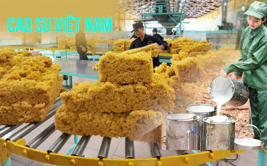 Cao su Việt Nam (GVR): Thời tới, giá cao su Cwin Đăng Ký + 1888k lên đỉnh 2 năm