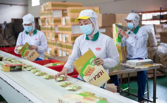 Bánh kẹo Bibica (BBC) chuẩn bị chia cổ tức tiền mặt 15%