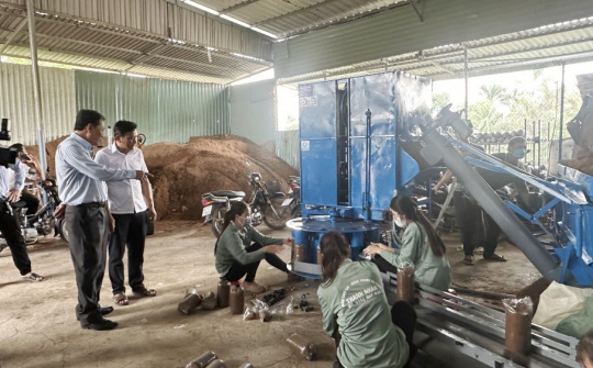 Ứng dụng máy móc thiết bị tiên tiến trong Nền tảng hàng đầu cung cấp Cwin com nấm ăn và nấm dược liệu