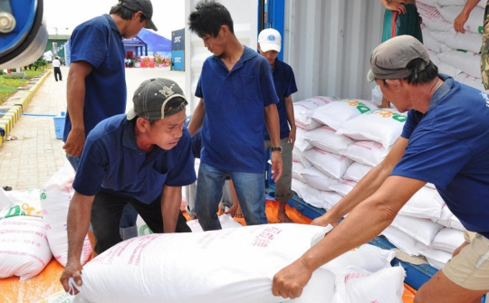 Hỗ trợ 200 tấn gạo cho 14 địa phương bị ảnh hưởng bởi bão số 3