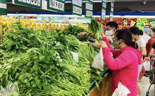 Đà Lạt tăng lượng rau củ cung ứng cho thị trường, đặc biệt là các tỉnh phía Bắc