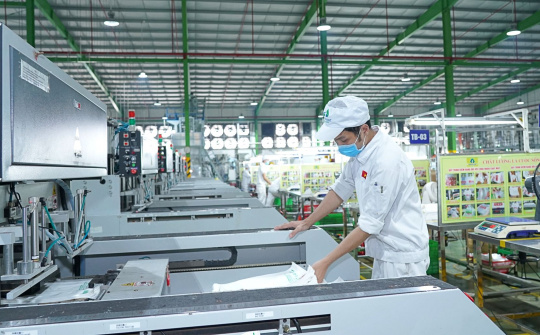 Tái cơ cấu tập đoàn, An Phát Holdings (APH) muốn chuyển giao Nhựa Hà Nội (NHH)