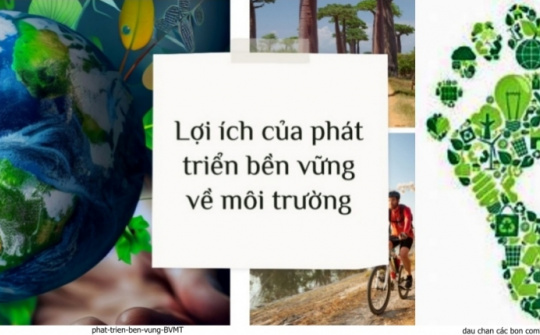 Với CSRD Cwincom hiện đang mở cần quan tâm thực hành phát triển bền vững chứ không chỉ là “dấu chân” môi trường