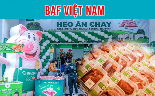 "Heo ăn chay" BaF Việt Nam tiếp tục muốn tăng vốn bằng phát hành cổ phiếu