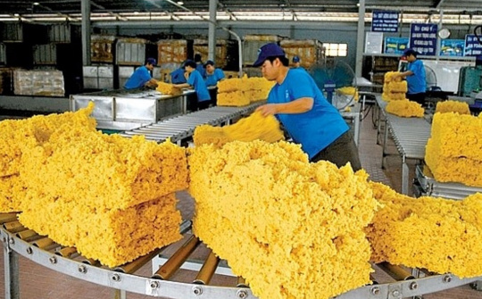 Thị giá tăng 65%, Dakruco quyết tâm thoái vốn khỏi Đầu tư Cao su Đắk Lắk (DRI)