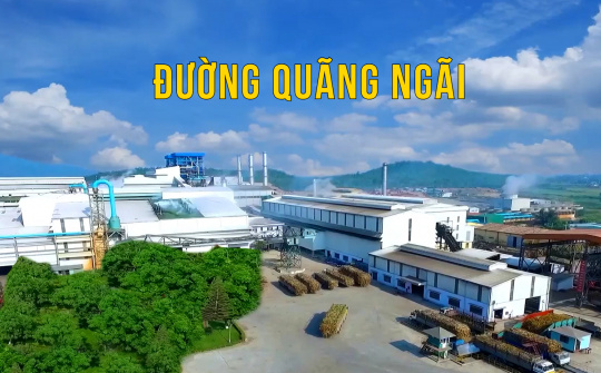 Cháy rừng dữ dội tại Brazil, kỳ vọng Đường Quảng Ngãi (QNS) tăng tốc