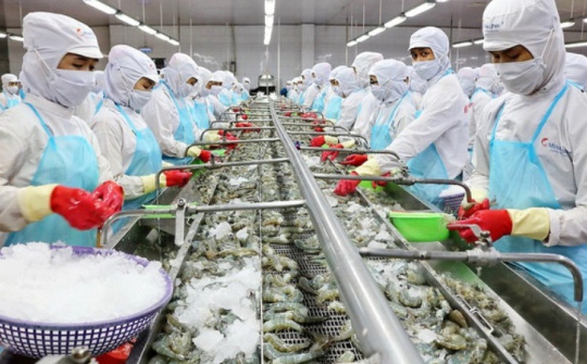 Quy định mới của EU về an toàn sản phẩm (GPSR) - Những điểm cần lưu ý