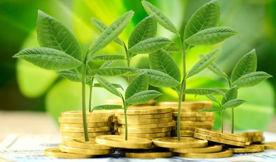 Phát triển các ngân hàng xanh theo Cwin50 tỷ lệ cược cao Việt Nam