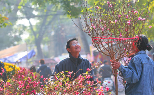 Đề xuất phương án nghỉ Tết Âm lịch, nghỉ Lễ Quốc khánh 2026