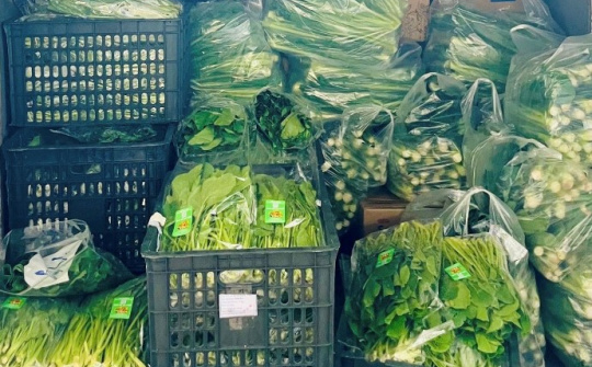 Công đoàn Tổng công ty Thép Việt Nam: Khẩn trương, tích cực cứu trợ người Nền tảng hàng đầu cung cấp Cwin com khắc phục hậu quả bão số 10, 11