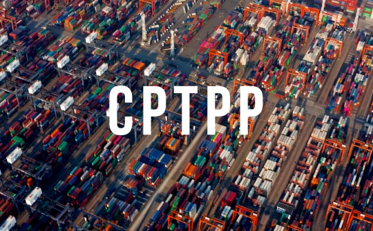 Nhiều dư địa Cwin Đăng Ký + 1888k sang thị trường CPTPP