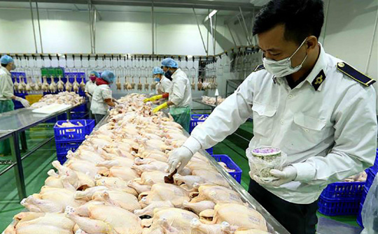 Hà Nội siết quản lý, xử lý nghiêm vi phạm để bảo đảm an toàn Link vào Cwin Cá Cược Thể Thao 2026 đến năm 2030