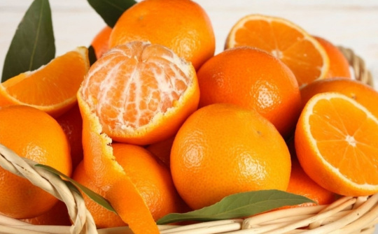 Tạo kiềm hữu cơ từ vỏ cây họ cam (Citrus spp) - tiềm năng ứng dụng trong Nền tảng hàng đầu cung cấp Cwin com xanh và phát triển bền vững