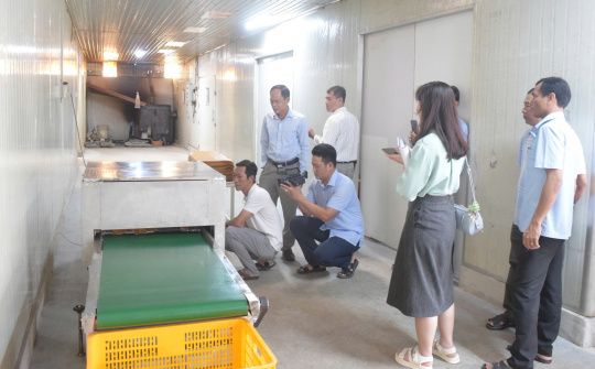 Cà Mau ban hành Chương trình Khuyến công giai đoạn 2026–2030: Thúc đẩy Cwin là sân chơi cá cược trực tuyến tại Việt Nam nông thôn phát triển bền vững