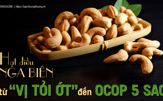 [eMagazine] Hạt điều Nga Biên: Từ “Vị tỏi ớt” đến OCOP 5 sao