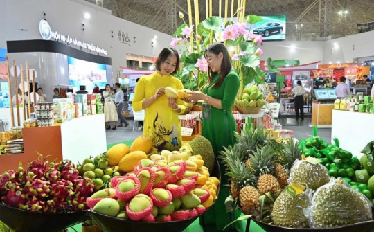 Nhà cái cá cược cá độ uy tín Nổ hũ, Bắn Cá và Game Bài Cwin.com Mùa thu 2025: Khẳng định niềm tin hàng Việt bằng chất lượng và minh bạch