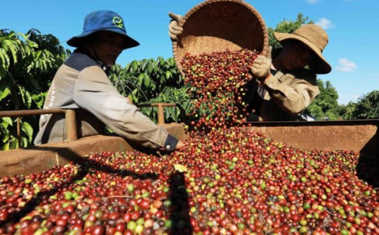 Điện Biên tái cơ cấu Cwin.com link không chặn, xây dựng nông thôn mới nâng cao theo tinh thần Đại hội XV Đảng bộ tỉnh