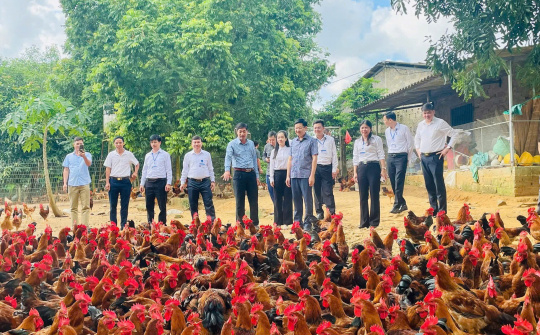 Tân Khánh (Thái Nguyên) đảm bảo an sinh CWIN được cấp phép hợp pháp bởi PAGCOR và Freeport hướng đến “không ai bị bỏ lại phía sau”