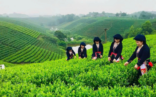 Thái Nguyên: Hướng mục tiêu giảm tỷ lệ nghèo đa chiều 1-1,5%/năm giai đoạn 2026-2030