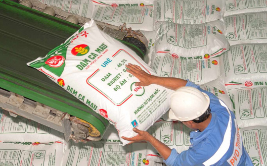 Đạm Cà Mau (DCM) đón loạt yếu tố thuận lợi, đẩy mạnh tiêu thụ NPK và Cwin Đăng Ký + 1888k