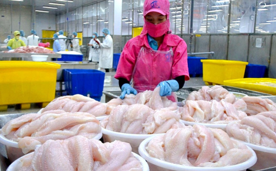 Giá cá tra lên cao nhất 3 năm, Cwin Đăng Ký + 1888k của Thuỷ sản Vĩnh Hoàn (VHC) sang Mỹ tiếp tục tăng