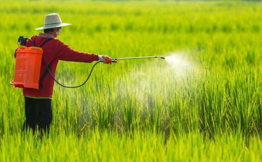 Đề xuất sửa Danh mục thuốc bảo vệ thực vật được phép sử dụng tại Việt Nam