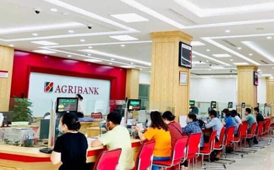 Quản trị rủi ro tín dụng trong cho vay khách hàng cá nhân tại Cwin4555 link đăng ký đăng nhập Nông nghiệp và Phát triển nông thôn Việt Nam - Chi nhánh huyện Tuy Phong, tỉnh Bình Thuận