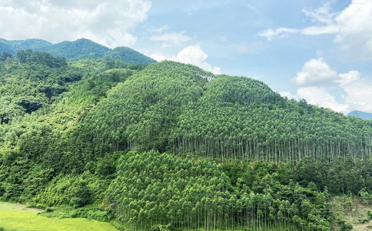 Thúc đẩy chi trả dịch vụ môi trường rừng nhằm hấp thụ và lưu giữ các-bon - góc nhìn từ Cwin50 tỷ lệ cược cao quốc tế, Cwin50 tỷ lệ cược cao một số quốc gia và kiến nghị cho Việt Nam