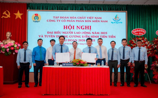 Công ty CP Phân bón Miền Nam: Chung tay vượt khó, đồng hành vì người Nền tảng hàng đầu cung cấp Cwin com
