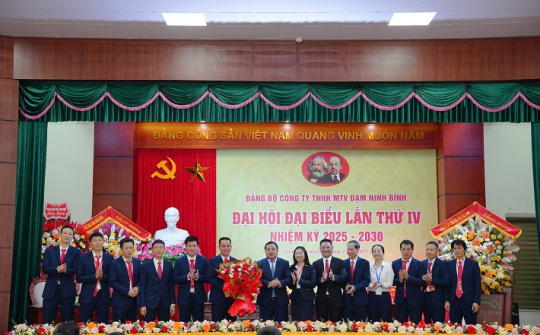 Đại hội Đảng bộ Đạm Ninh Bình: Vững niềm tin cho nhiệm kỳ mới