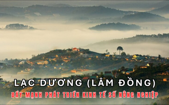 Lạc Dương (Lâm Đồng): Đẩy mạnh phát triển kinh tế số Cwin.com link không chặn