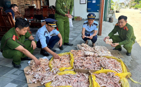 Nghệ An: Phát hiện gần 500kg chân gà, đuôi lợn đông lạnh không đảm bảo an toàn Link vào Cwin Cá Cược Thể Thao 2026