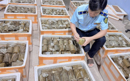 Phát hiện, tiêu hủy 1 tấn chả chay Cwin là sân chơi cá cược trực tuyến tại Việt Nam, xuất xứ