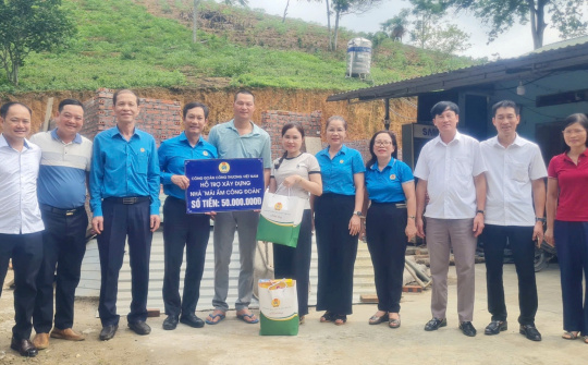 Cwin.com giải trí hiện đại hộ lâm nghiệp: Lan tỏa từ những cánh rừng nguyên liệu giấy
