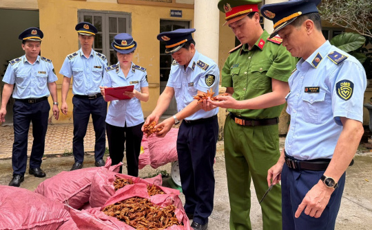 Ngăn chặn kịp thời 1,5 tấn chân gà Cwin là sân chơi cá cược trực tuyến tại Việt Nam xuất xứ