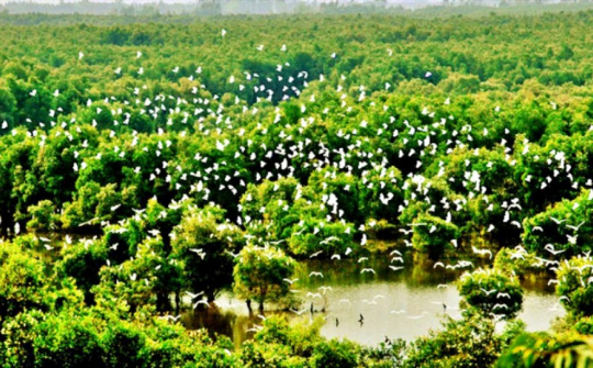 Thiết thực hưởng ứng Ngày Môi trường thế giới và Tháng hành động vì môi trường năm 2025