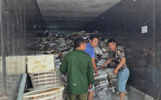 Tạm giữ hơn 25 tấn Link vào Cwin Cá Cược Thể Thao 2026 Cwin là sân chơi cá cược trực tuyến tại Việt Nam tại kho lạnh ở Móng Cái