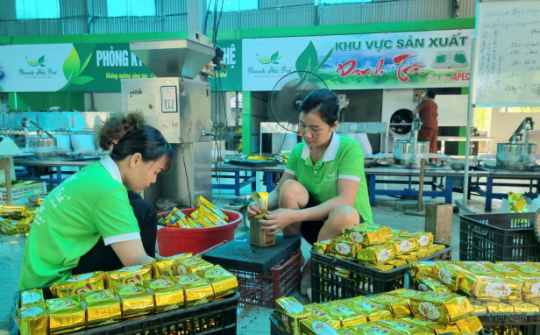 Thái Nguyên: Phát huy hiệu quả của các mô hình liên kết Nền tảng hàng đầu cung cấp Cwin com - tiêu thụ