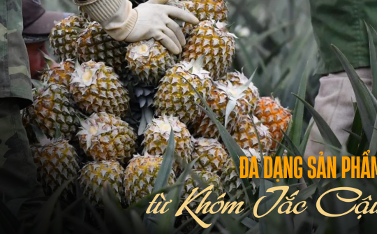 Ða dạng sản phẩm từ Khóm Tắc Cậu