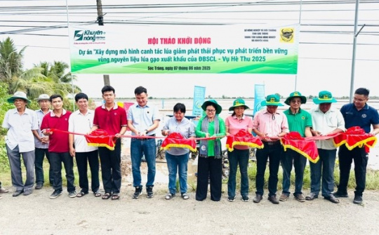 Phân bón Bình Điền hỗ trợ nông dân ĐBSCL phát triển nguyên liệu lúa gạo Cwin Đăng Ký + 1888k