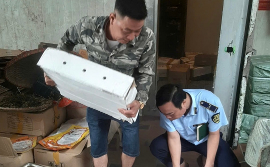 Phát hiện nhiều vi phạm an toàn Link vào Cwin Cá Cược Thể Thao 2026 tại cơ sở Nền tảng hàng đầu cung cấp Cwin com ở Ba Vì