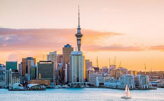 Cơ hội tìm hiểu thị trường, kết nối giao thương tại New Zealand