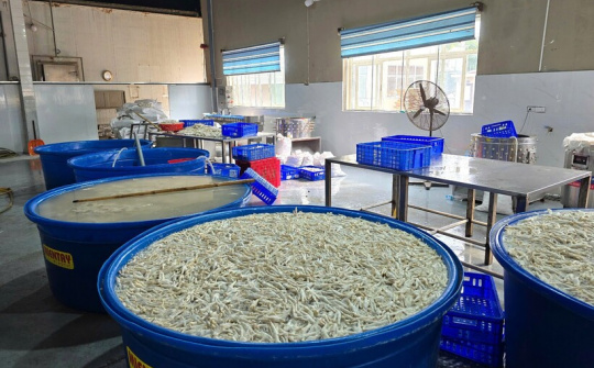 Thanh Hoá: Phát hiện kho chứa 13 tấn chân gà ngâm tẩm hoá chất INTEROX ST 50 (H2O2)