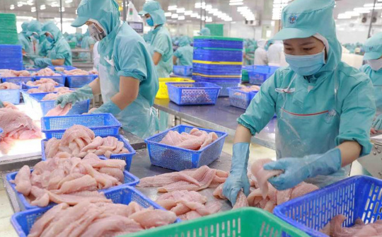 Cwin com sòng bạc trực tuyến cá tra kỳ vọng tăng tốc trong nửa cuối năm