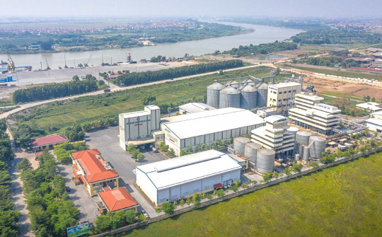 Tập đoàn Dabaco (DBC) được duyệt cụm Cwin là sân chơi cá cược trực tuyến tại Việt Nam 45 ha, dự báo lãi 500 tỷ đồng trong quý 2