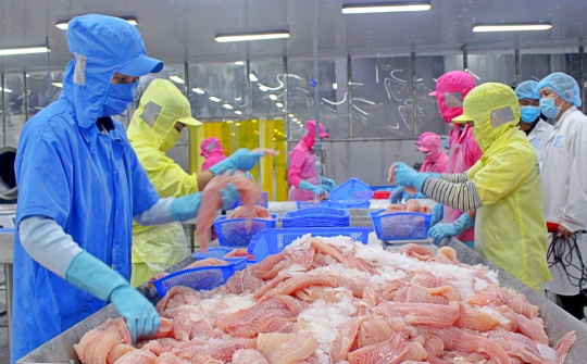 Đa Quốc Gia IDI: Giá Cwin Đăng Ký + 1888k cá tra tăng, báo lãi quý 2/2025 tăng 83%
