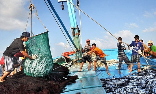 Hiệp định về Biện pháp cảng để ngăn ngừa, răn đe và loại bỏ khai thác IUU (PSMA) và sự tham gia của Việt Nam